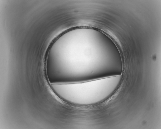 X0000094381037200711020820