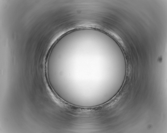 X0000094381039200711020820