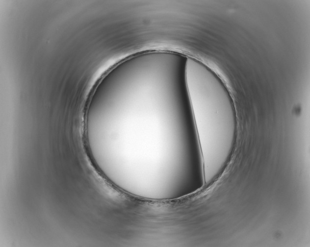 X0000094381040200711020820