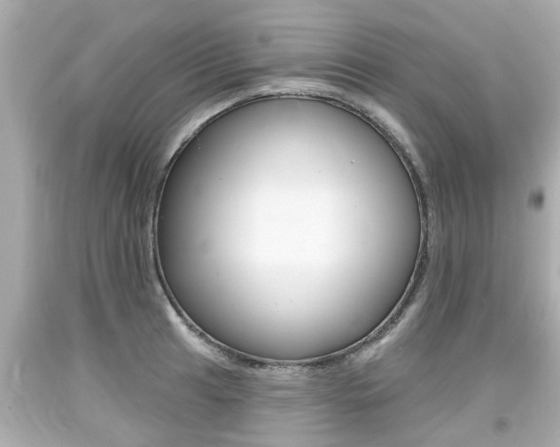 X0000094381041200711020820