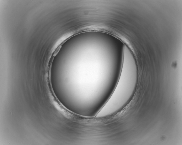 X0000094381042200711020820
