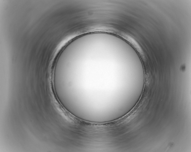 X0000094381043200711020820