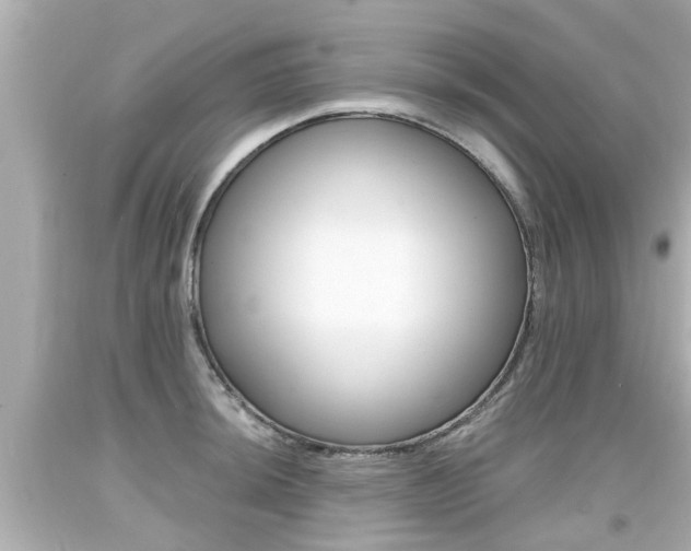 X0000094381044200711020820