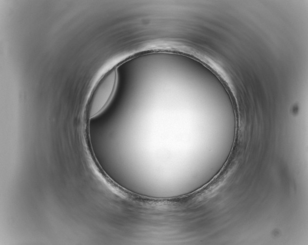 X0000094381045200711020820