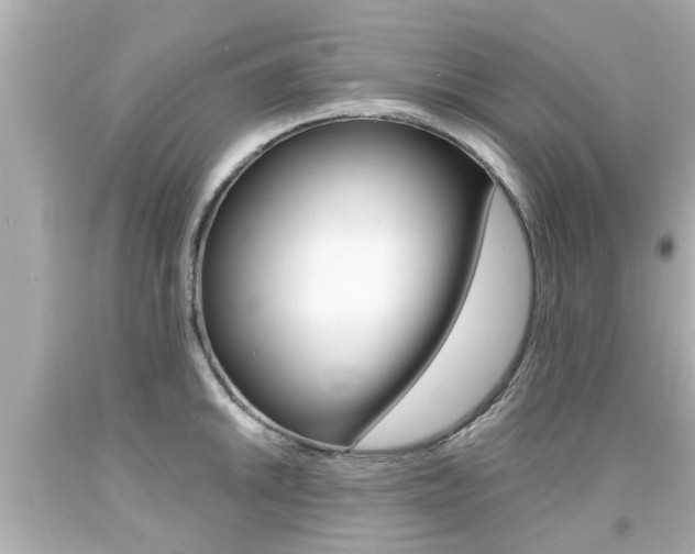 X0000094381046200711020820