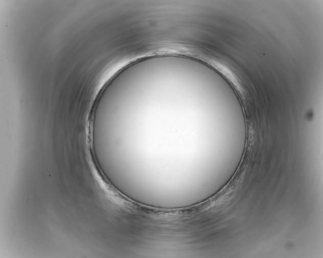 X0000094381047200711020820