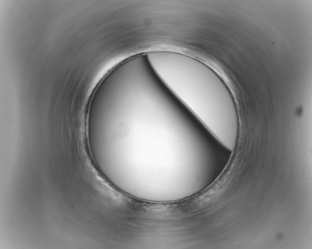 X0000094381048200711020820