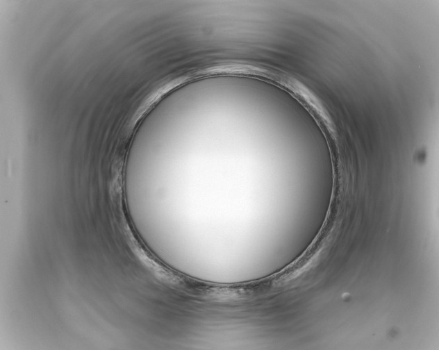 X0000094381049200711020820