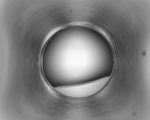 X0000094381050200711020820