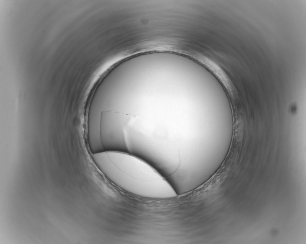 X0000094381051200711020820