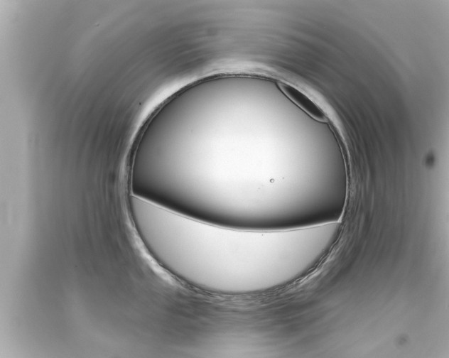 X0000094381053200711020820