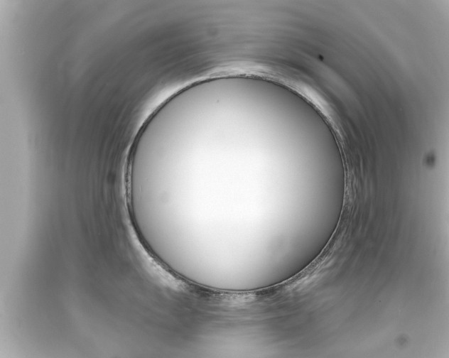 X0000094381055200711020820