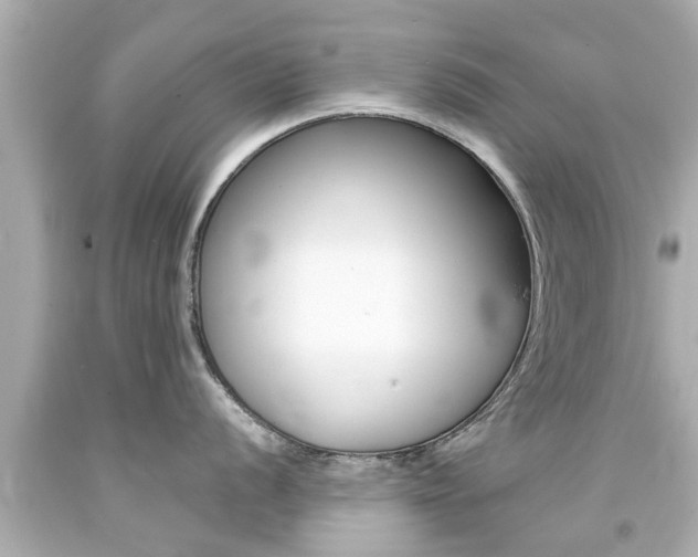 X0000094381056200711020820