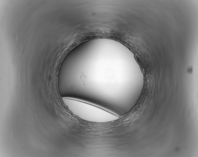 X0000094381057200711020819