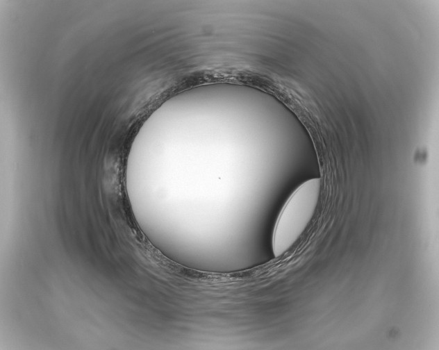 X0000094381060200711020819