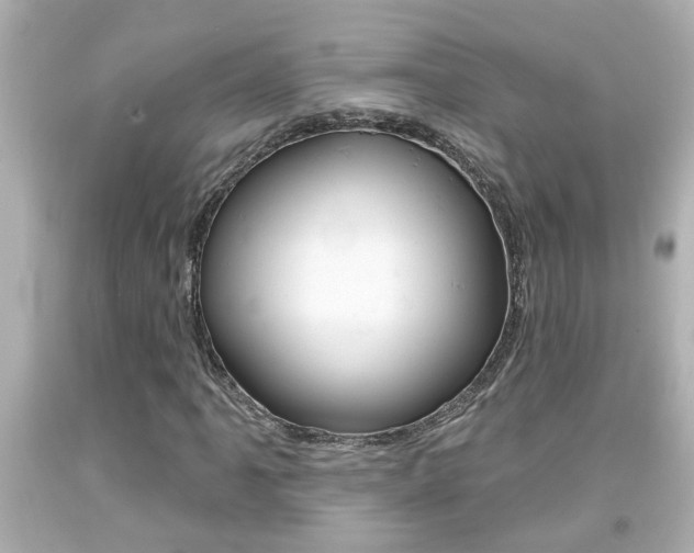 X0000094381061200711020819