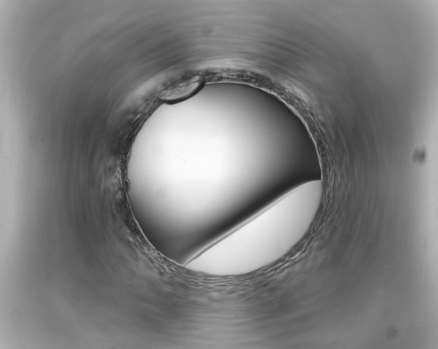 X0000094381062200711020819
