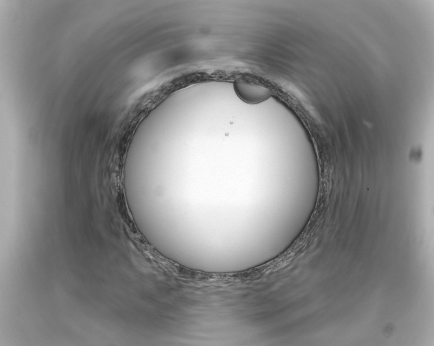 X0000094381063200711020819
