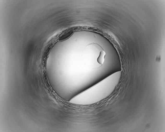 X0000094381064200711020819