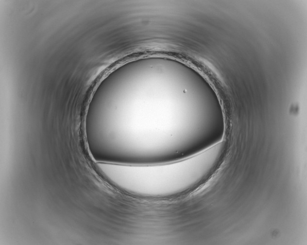 X0000094381065200711020819