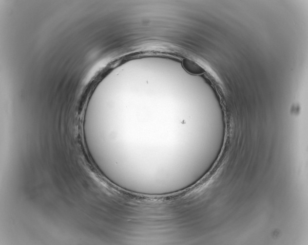X0000094381067200711020819