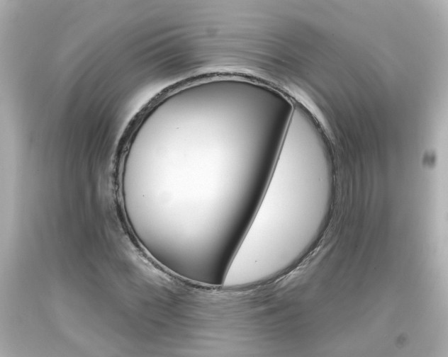 X0000094381068200711020819