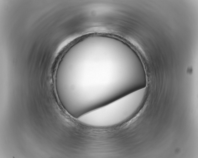 X0000094381070200711020819