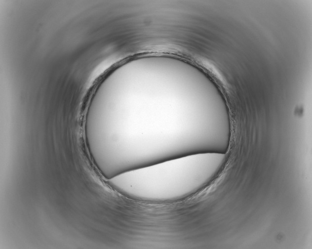 X0000094381071200711020819