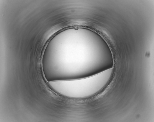 X0000094381073200711020819