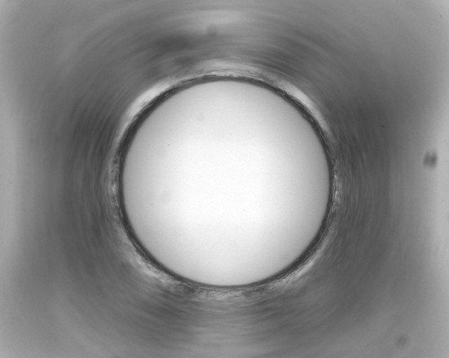X0000094381074200711020819