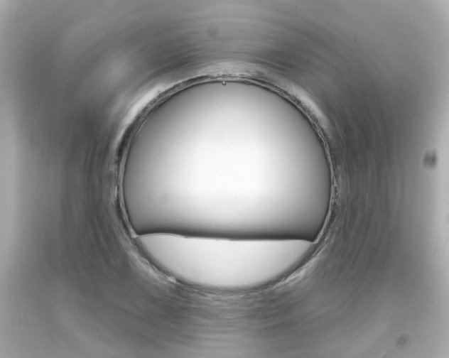 X0000094381075200711020819