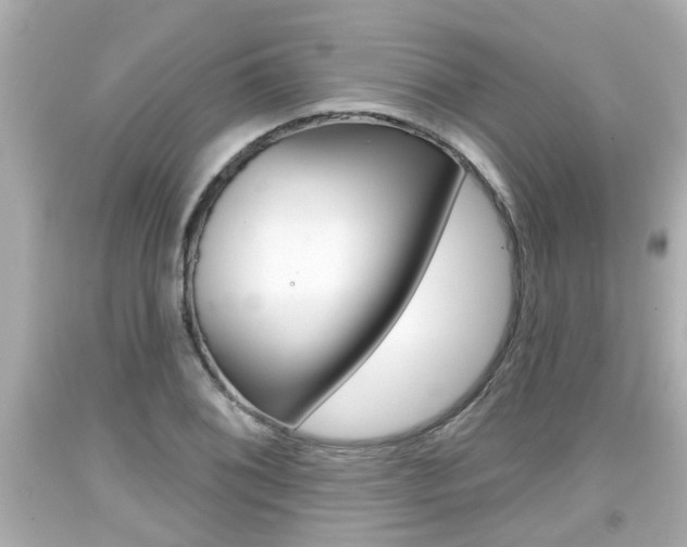 X0000094381076200711020819
