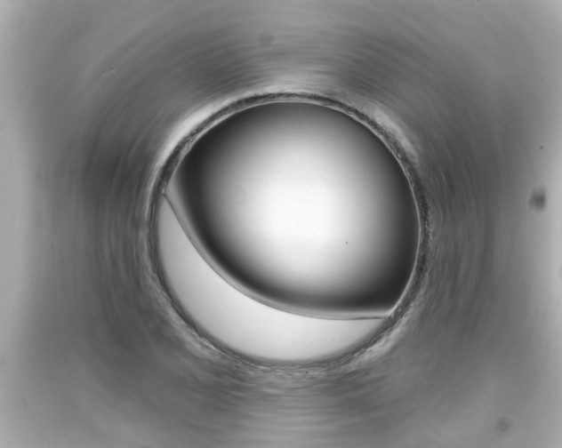 X0000094381077200711020819