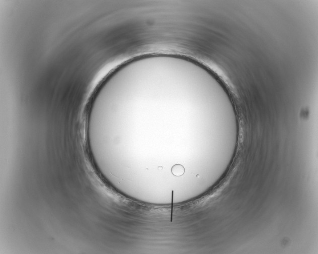 X0000094381078200711020819