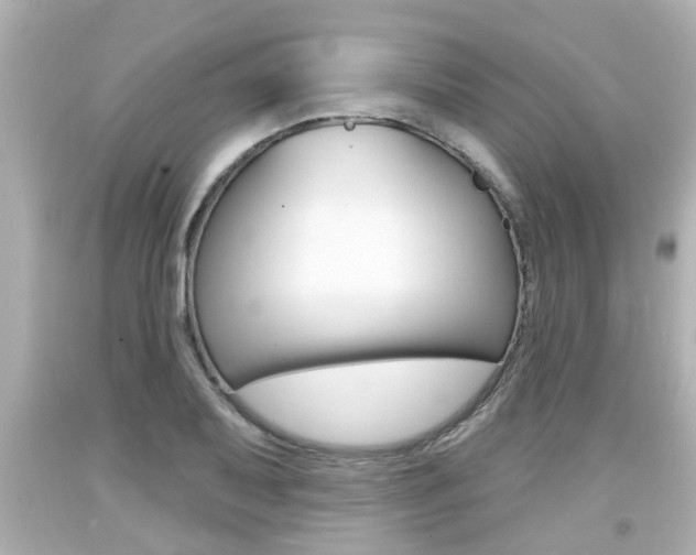 X0000094381079200711020819