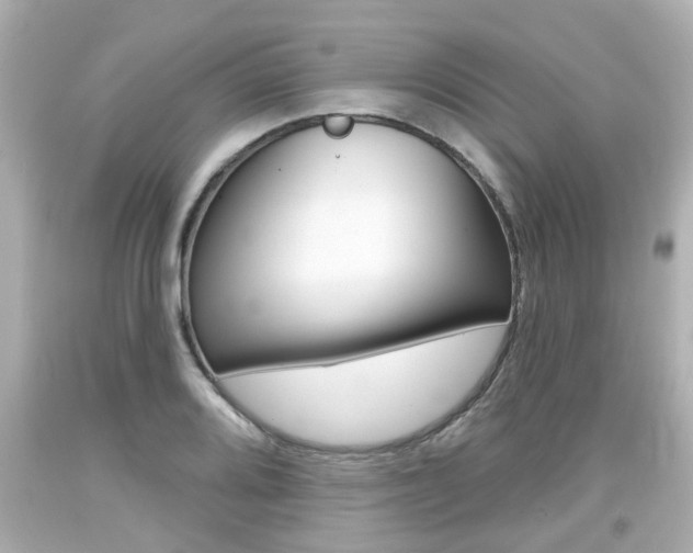 X0000094381080200711020819