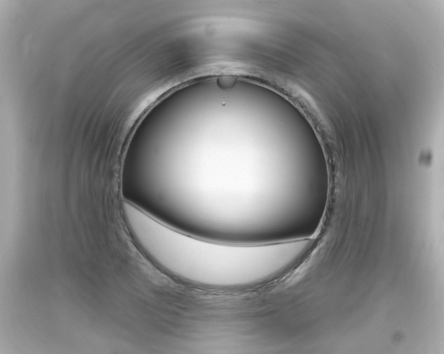 X0000094381081200711020819