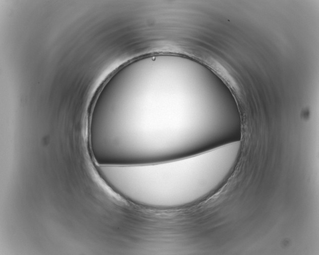 X0000094381084200711020819