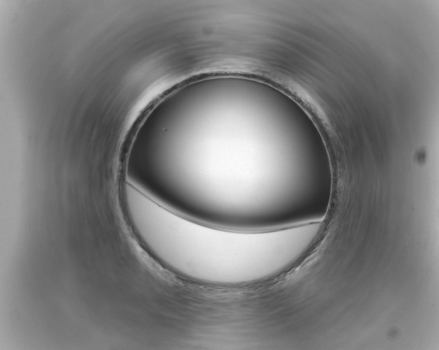 X0000094381085200711020819