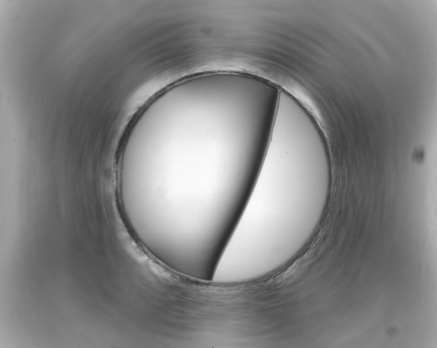 X0000094381088200711020819