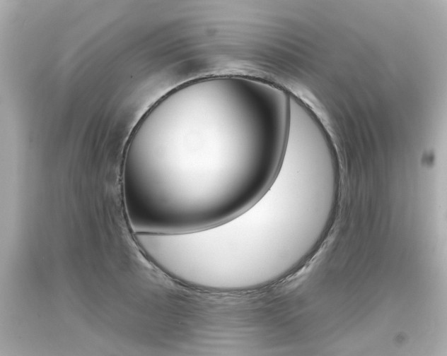 X0000094381089200711020819
