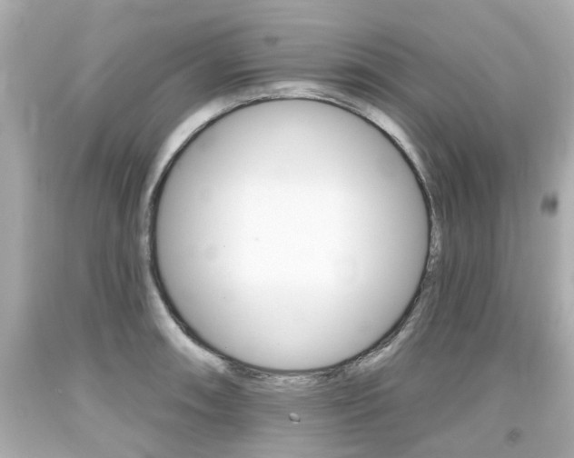 X0000094381090200711020819