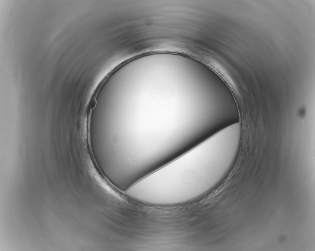 X0000094381092200711020819