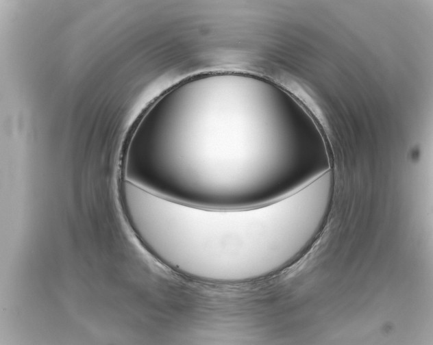 X0000094381093200711020819