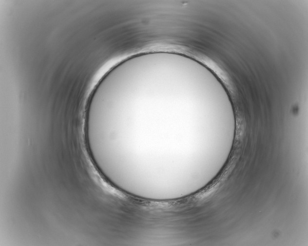 X0000094381094200711020819