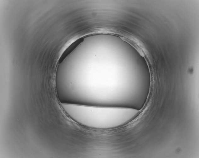 X0000094381097200711020819