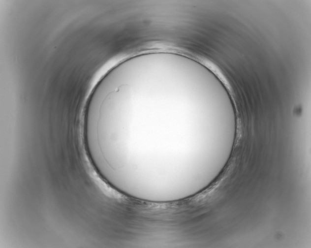 X0000094381098200711020819