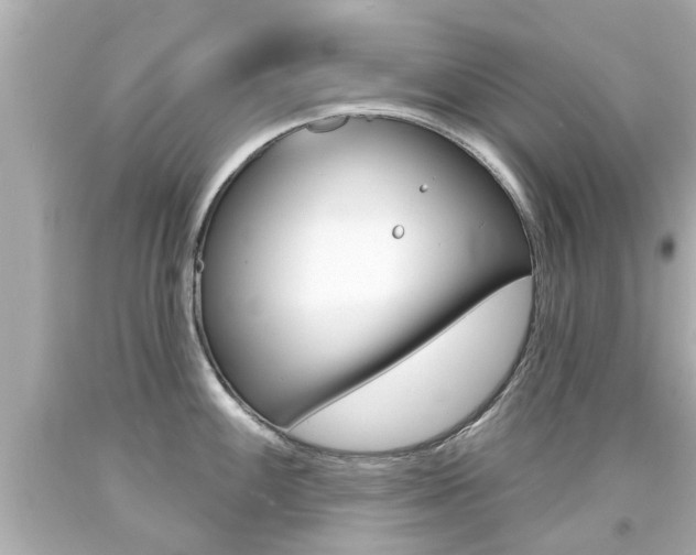 X0000094381100200711020819