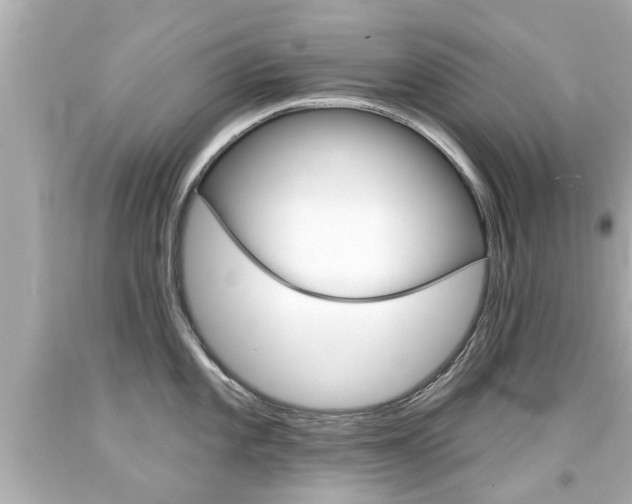 X0000094381101200711020819
