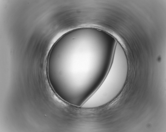 X0000094381102200711020819